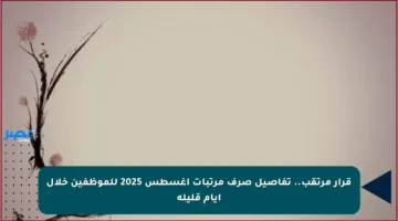 قرار مرتقب.. تفاصيل صرف مرتبات أغسطس 2025 للموظفين خلال أيام قليلة